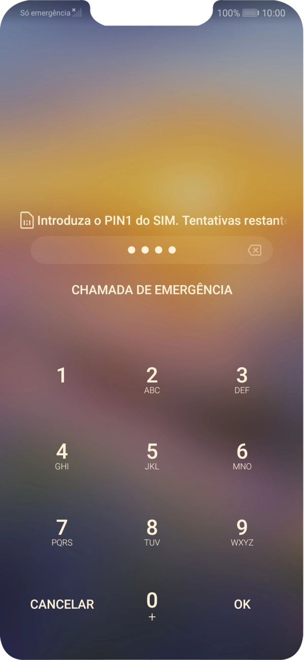 Se solicitado, deve introduzir o código PIN e premir OK.