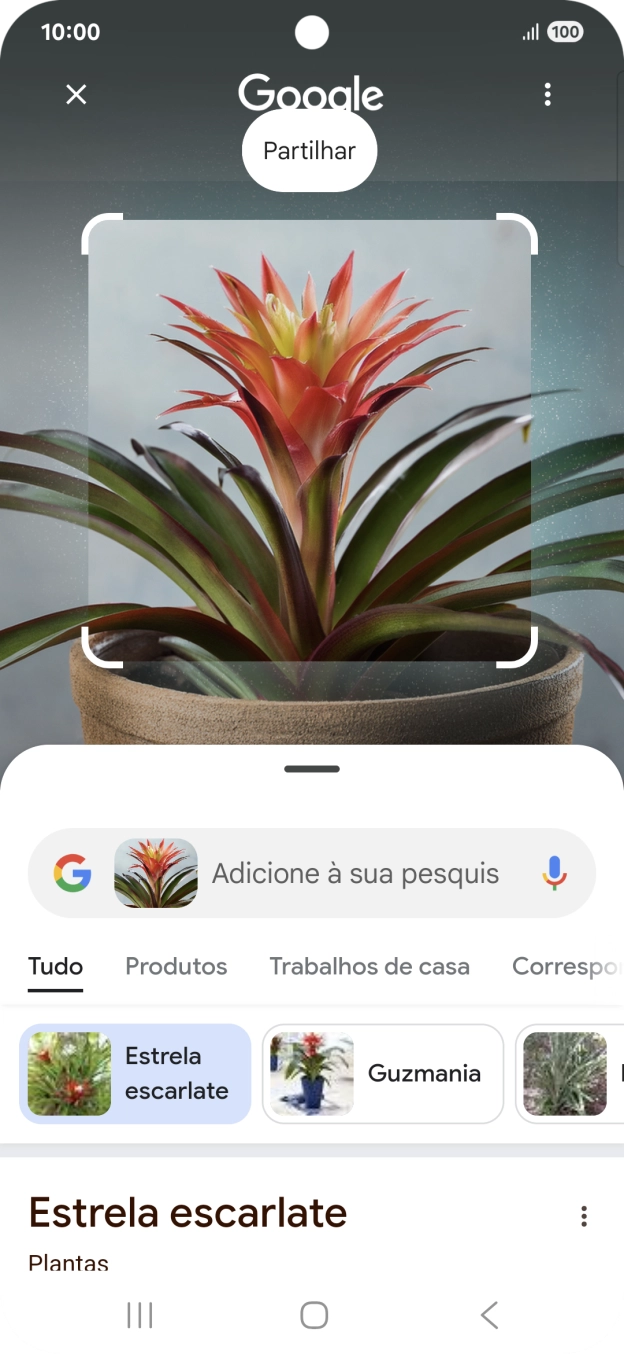 Siga as indicações no ecrã  para utilizar os resultados da pesquisa.