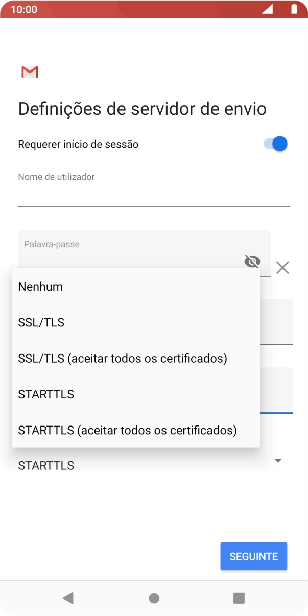 Prima SSL/TLS para ativar a função.