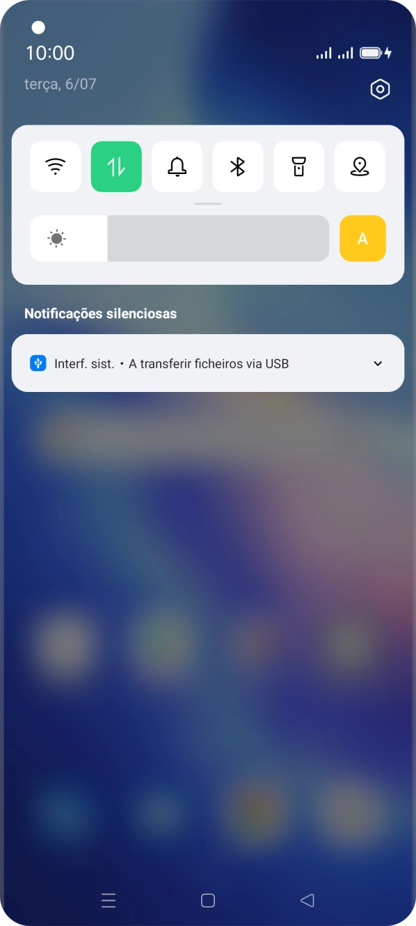 Prima Interf. sist..