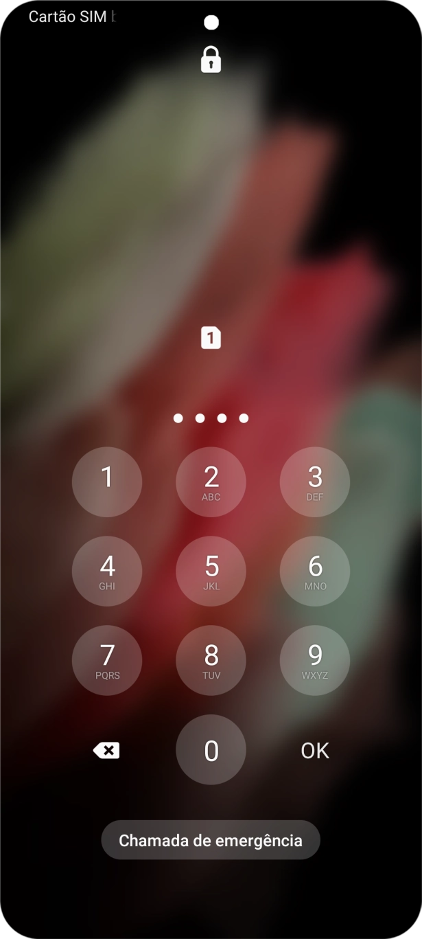 Se solicitado, deve introduzir o código PIN e premir OK.