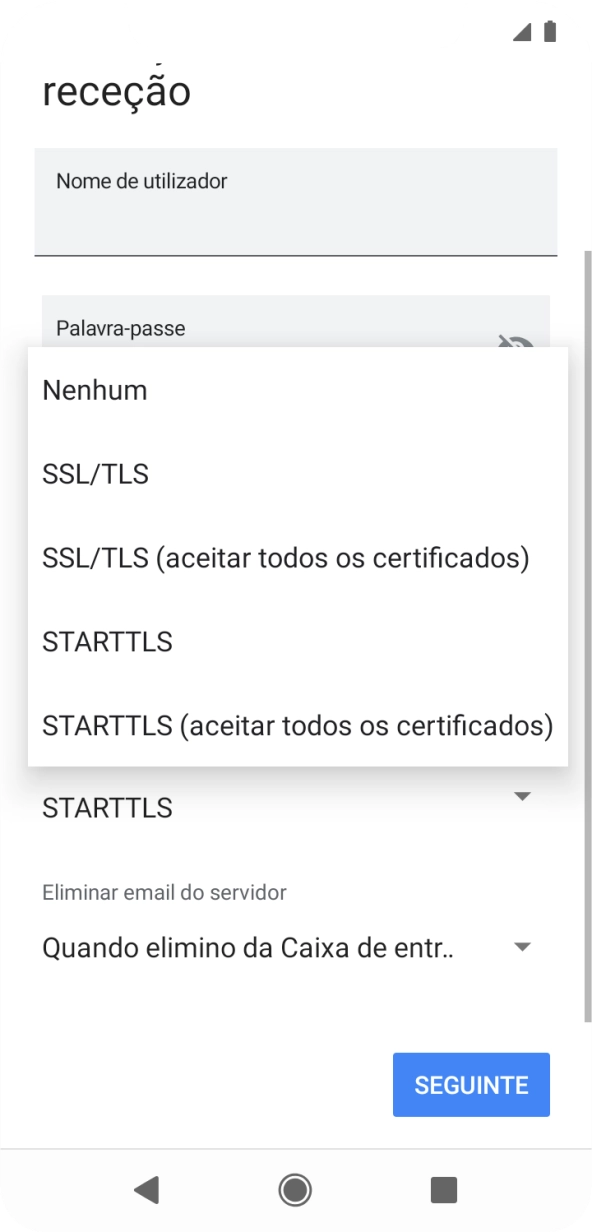 Prima SSL/TLS para ativar a função.