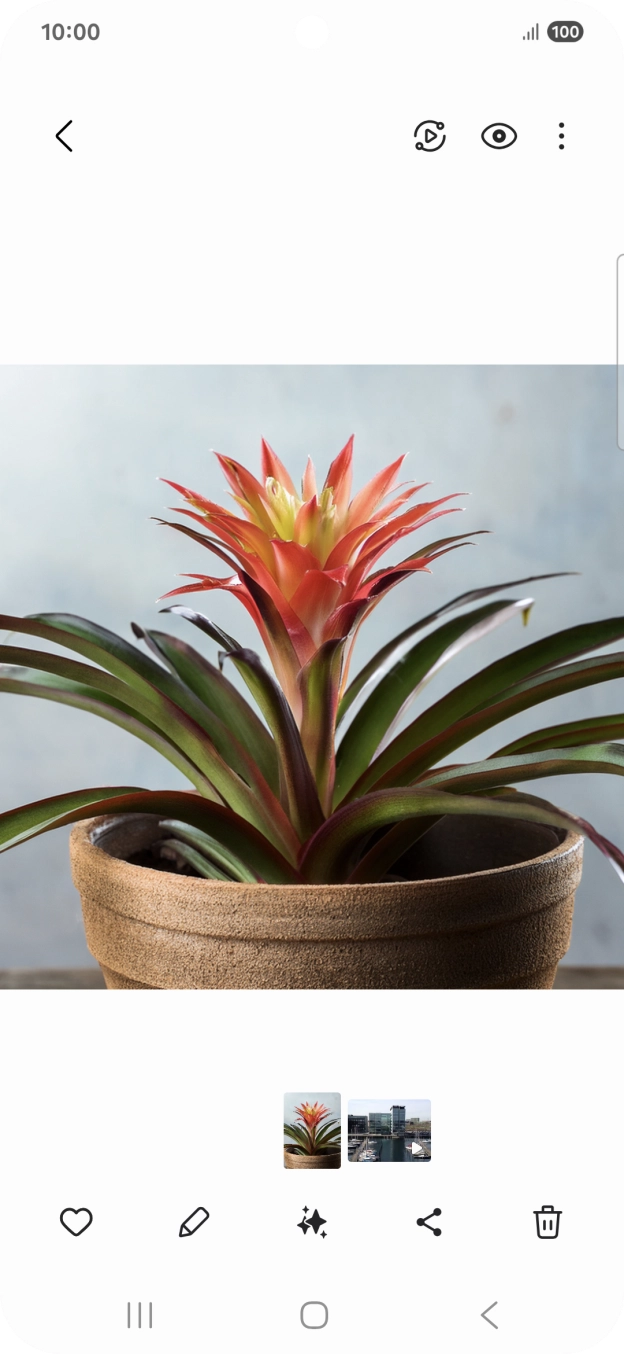 Dirija-se à imagem pretendida.