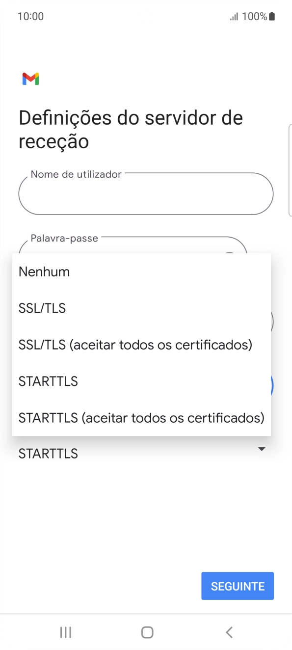 Prima SSL/TLS para ativar a função.