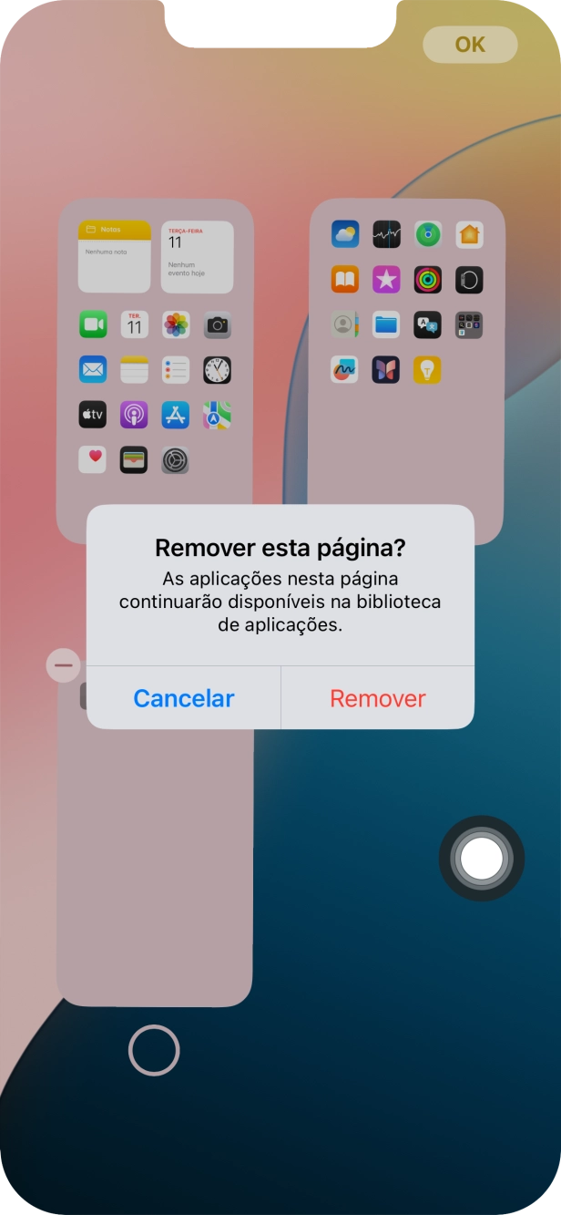Prima Remover.