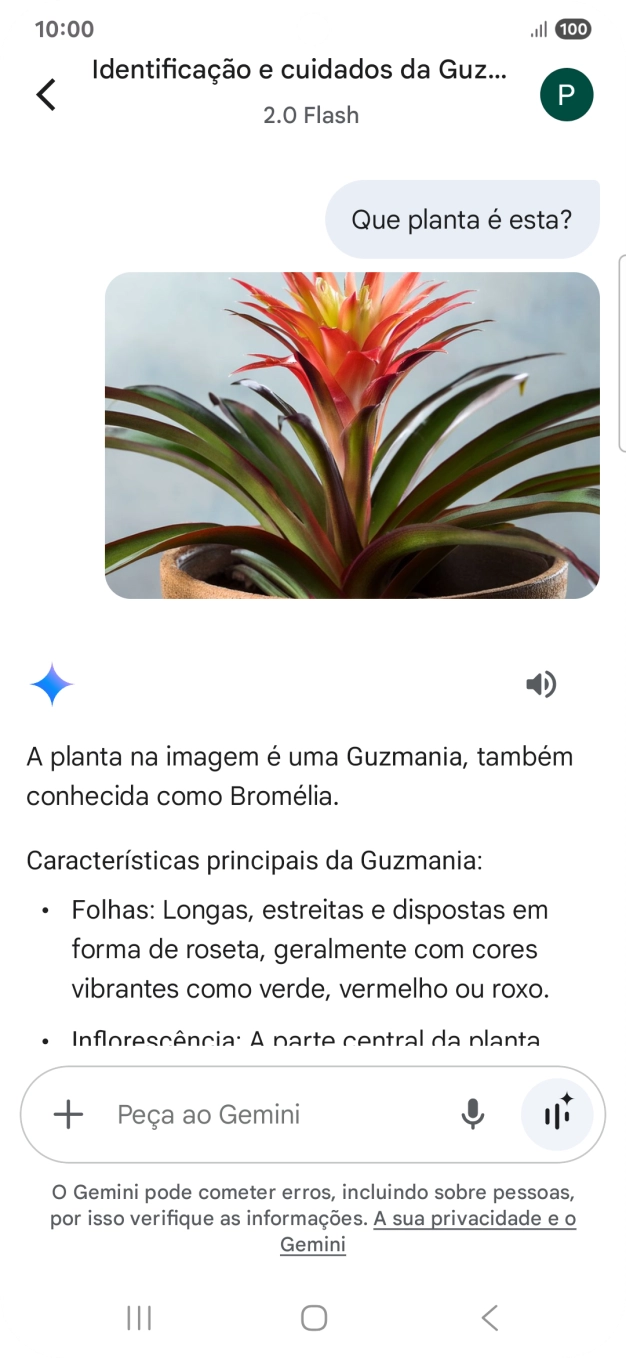 Siga as indicações no ecrã para escrever ou ditar a pergunta pretendida. Pode também anexar imagens ou documentos e fazer perguntas a respeito destes.