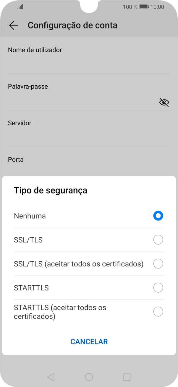 Prima SSL/TLS para ativar a função.