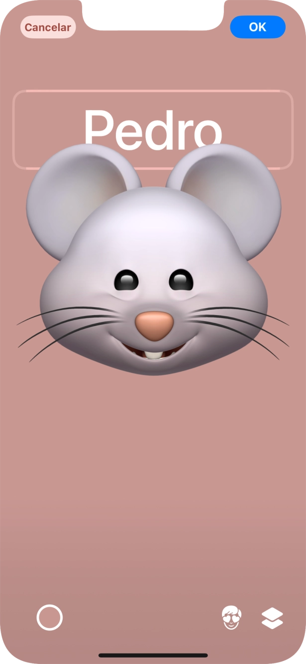 Prima o campo do nome e siga as indicações no ecrã para escolher o tipo de letra e cor para o seu nome no cartaz de contacto.