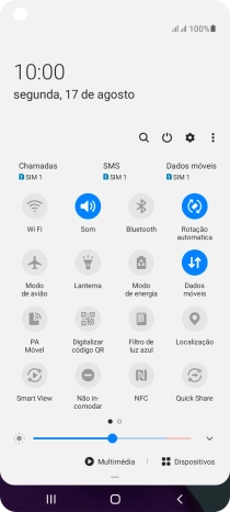 Prima o ícone de dados móveis para ativar ou desativar a função.