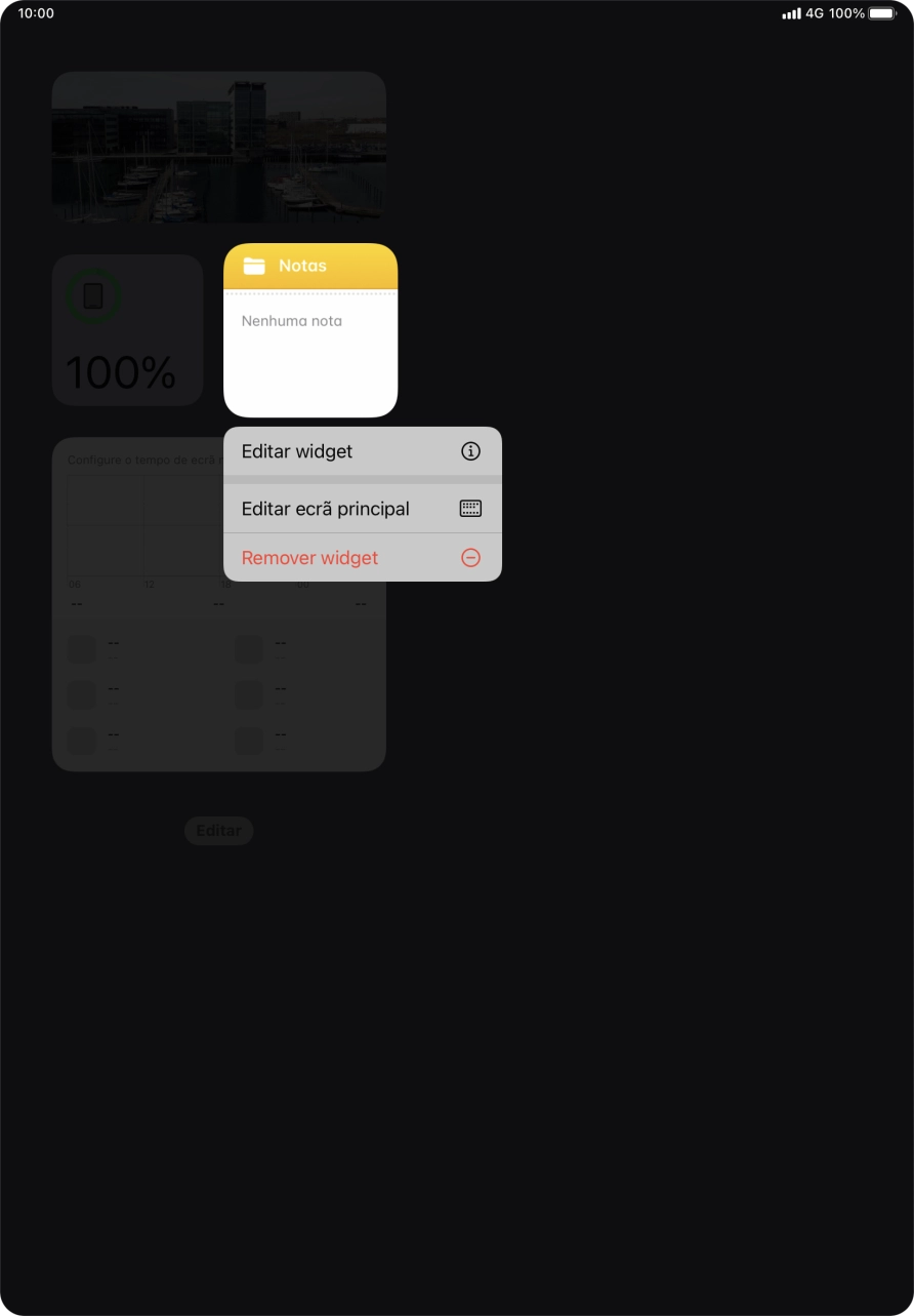Prima Remover widget.