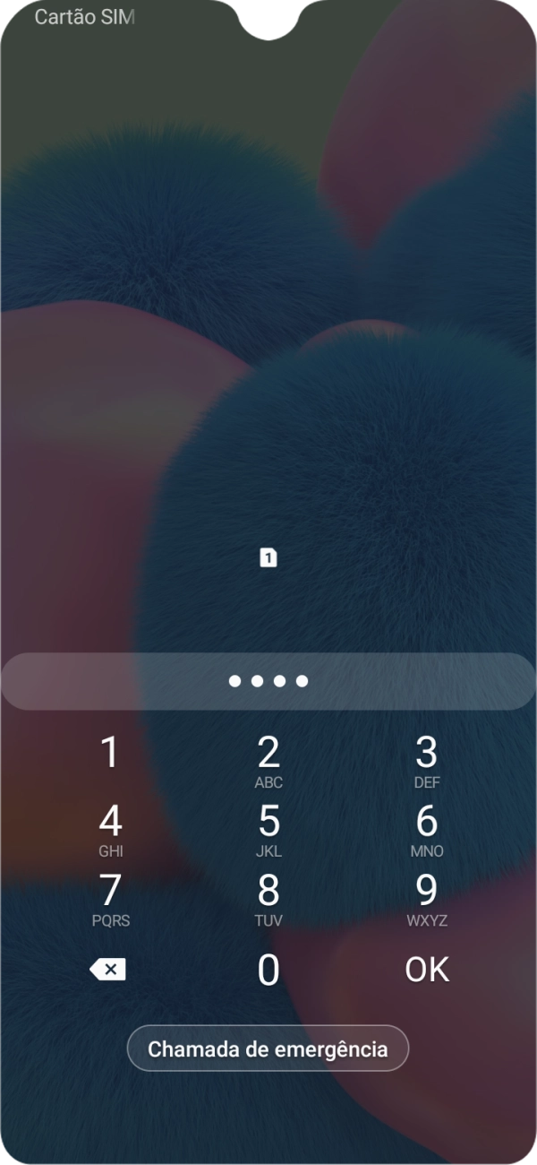 Se necessário, introduza o código PIN e prima OK.