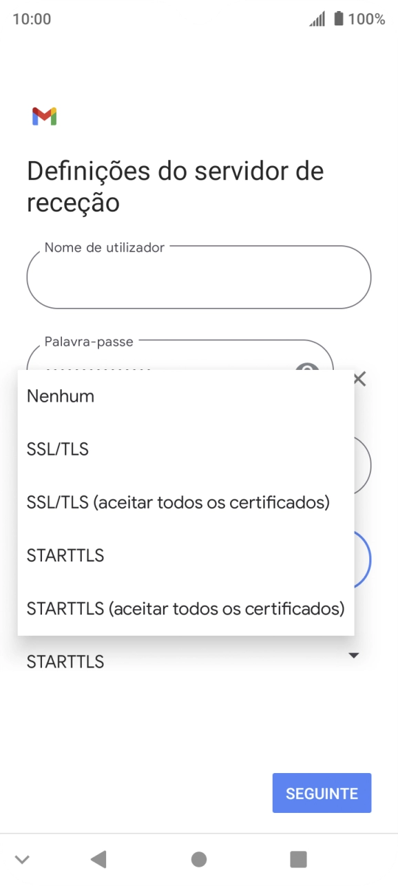 Prima SSL/TLS para ativar a função.