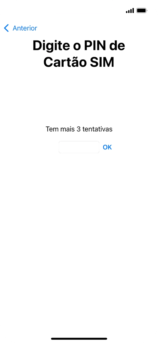 Se o cartão SIM estiver bloqueado, deve introduzir o código PIN e premir OK.