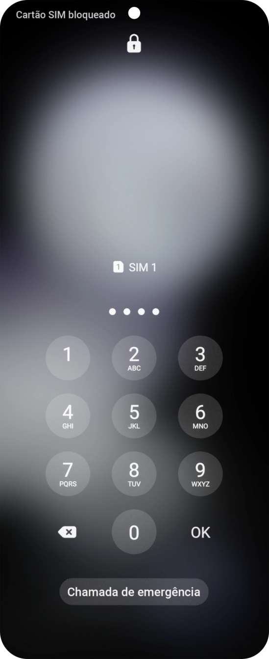 Se solicitado, deve introduzir o código PIN e premir OK.