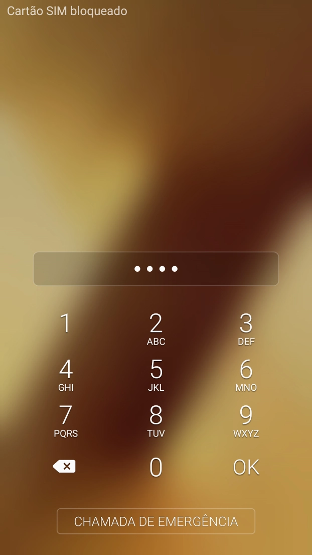 Se necessário, introduza o código PIN e prima OK.