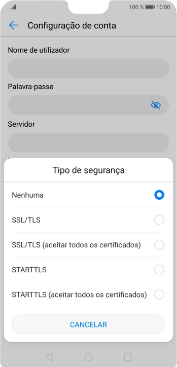 Prima SSL/TLS para ativar a função.