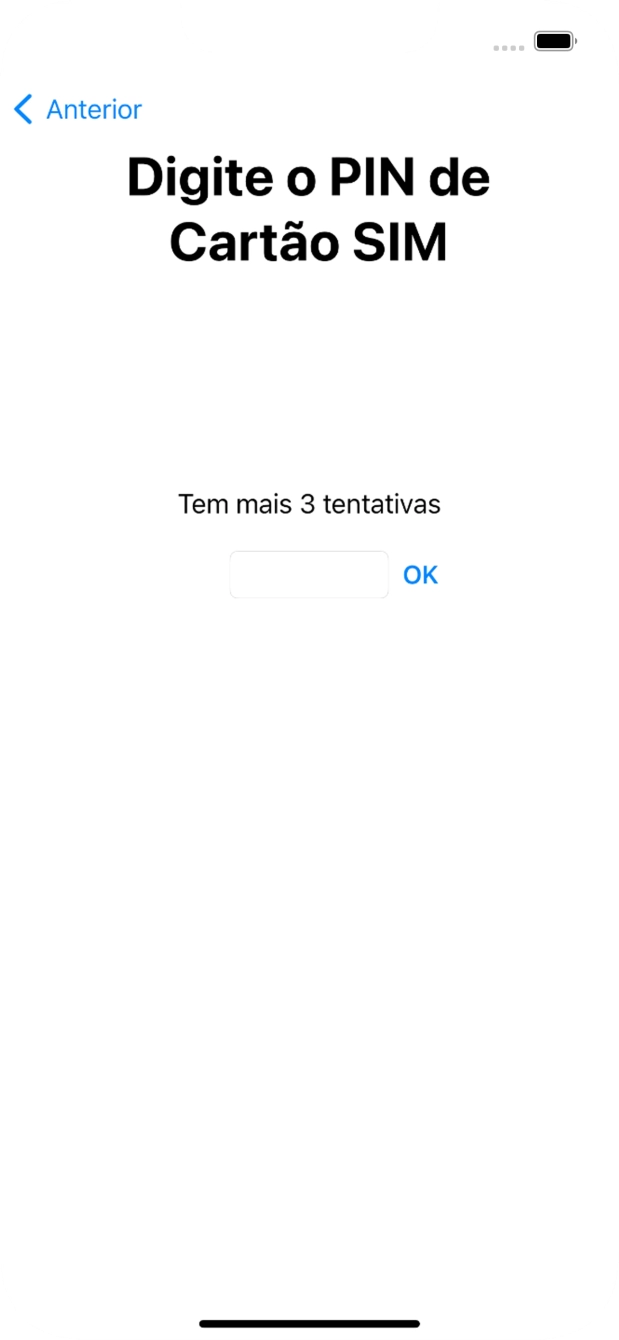 Se o cartão SIM estiver bloqueado, deve introduzir o código PIN e premir OK.