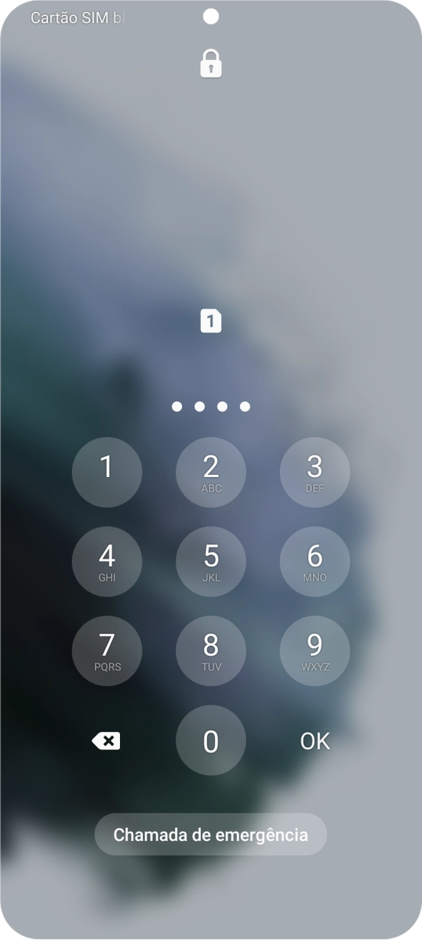 Se solicitado, deve introduzir o código PIN e premir OK.