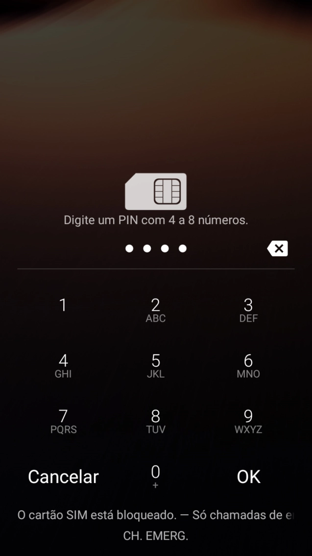 Se solicitado, deve introduzir o código PIN e premir OK.