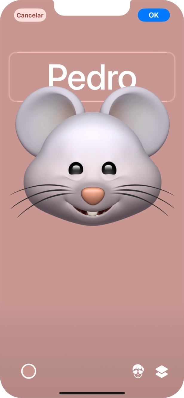 Prima o campo do nome e siga as indicações no ecrã para escolher o tipo de letra e cor para o seu nome no cartaz de contacto.