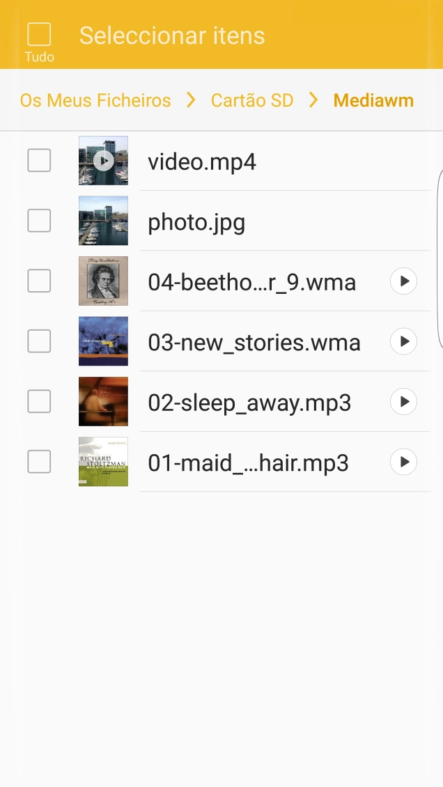 Prima o campo junto do ficheiro pretendido.