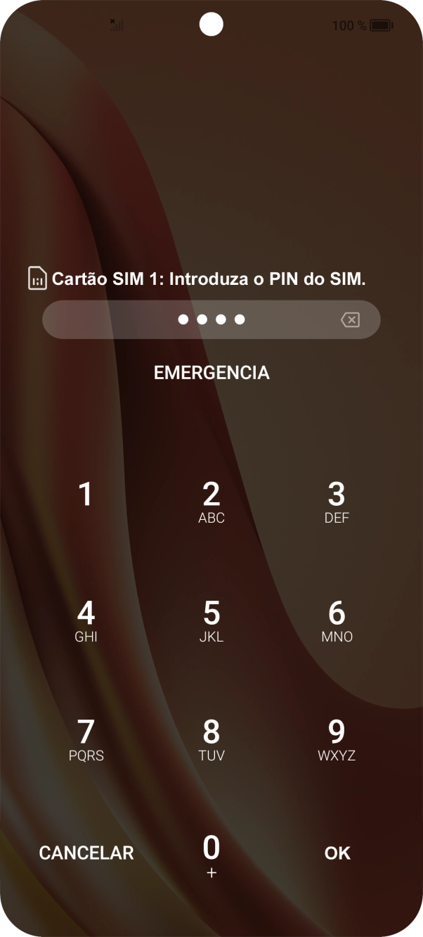 Se solicitado, deve introduzir o código PIN e premir OK.