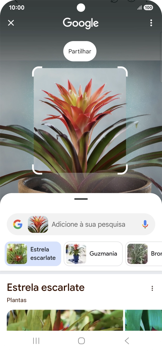 Siga as indicações no ecrã  para utilizar os resultados da pesquisa.
