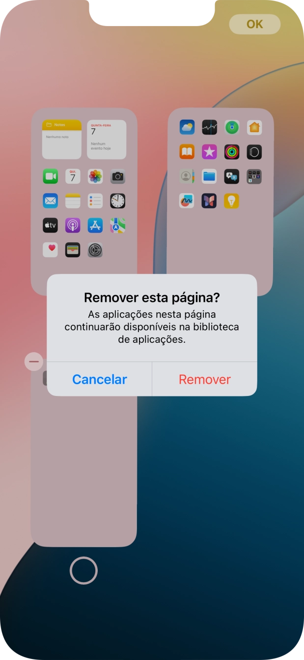 Prima Remover.