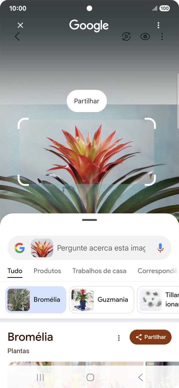 Siga as indicações no ecrã  para utilizar os resultados da pesquisa.