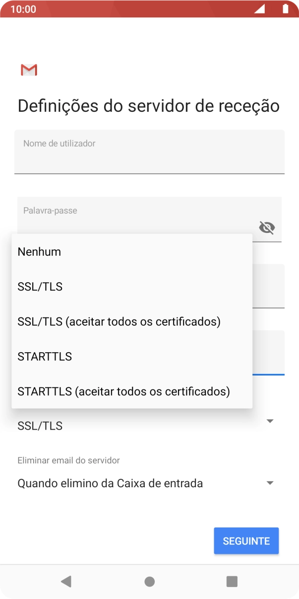 Prima SSL/TLS para ativar a função.