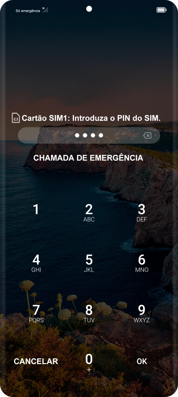 Se o cartão SIM estiver bloqueado, deve introduzir o código PIN e premir OK.