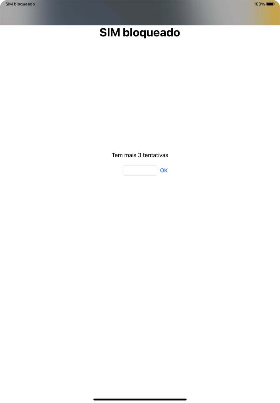 Se o cartão SIM estiver bloqueado, deve introduzir o código PIN e premir OK.