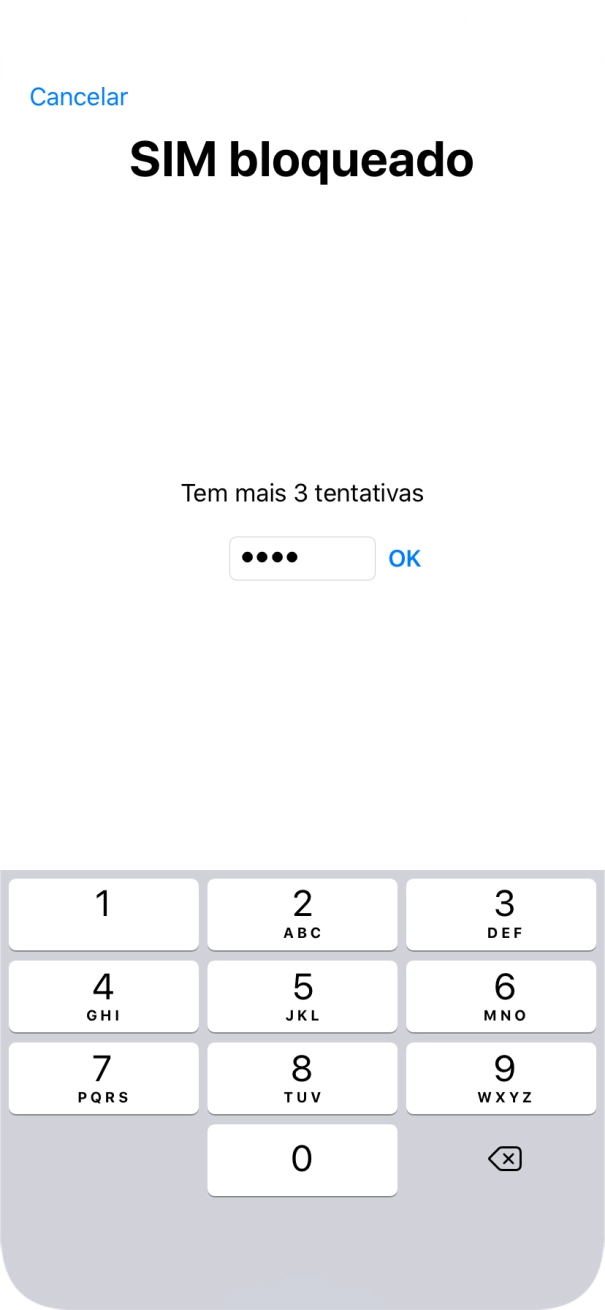 Se o cartão SIM estiver bloqueado, deve introduzir o código PIN e premir OK.