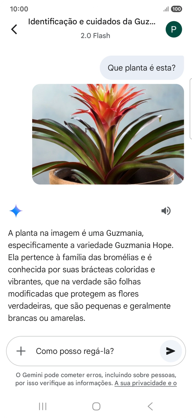 Siga as indicações no ecrã para escrever ou ditar perguntas, para continuar a conversa.