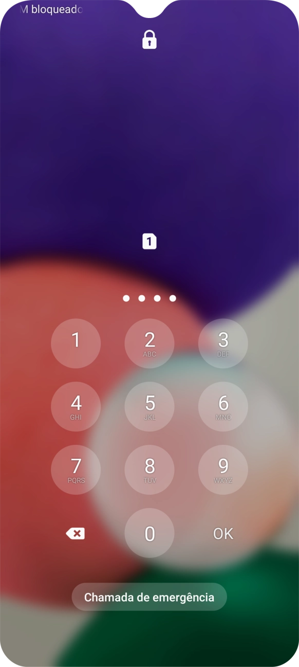 Se necessário, introduza o código PIN e prima OK.