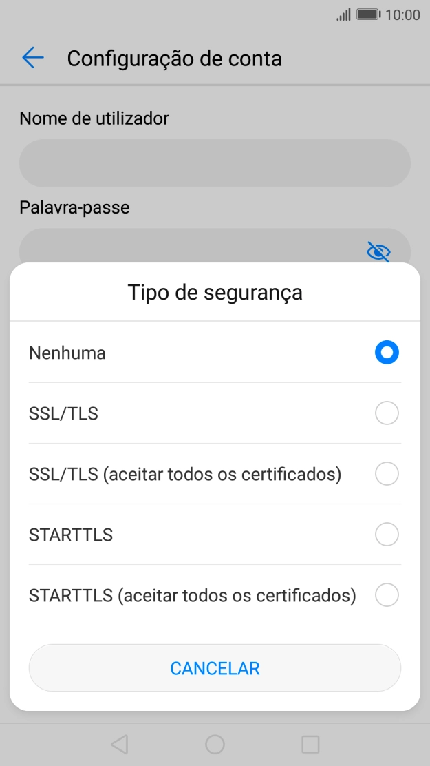 Prima SSL/TLS para ativar a função.
