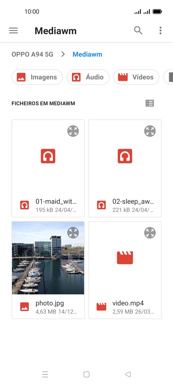 Prima o ficheiro pretendido.