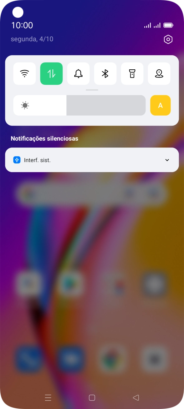 Prima Interf. sist..