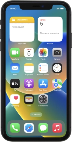 Apple iPhone 11
