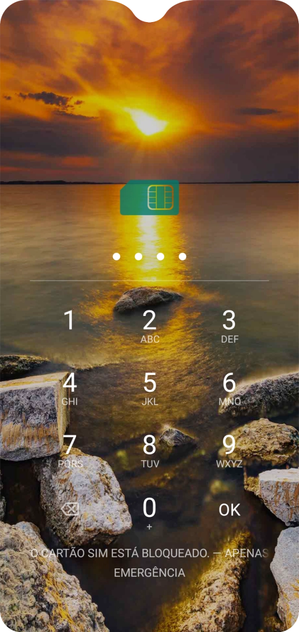 Se solicitado, deve introduzir o código PIN e premir OK.