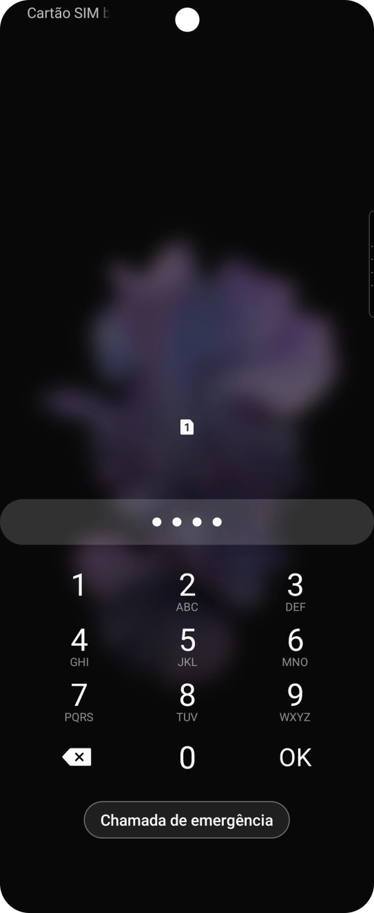 Se solicitado, deve introduzir o código PIN e premir OK.