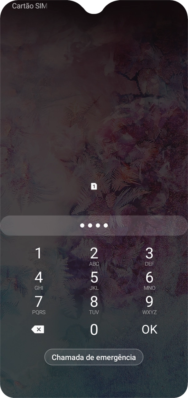 Se solicitado, deve introduzir o código PIN e premir OK.