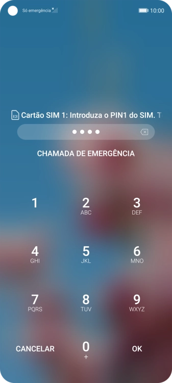 Se solicitado, deve introduzir o código PIN e premir OK.