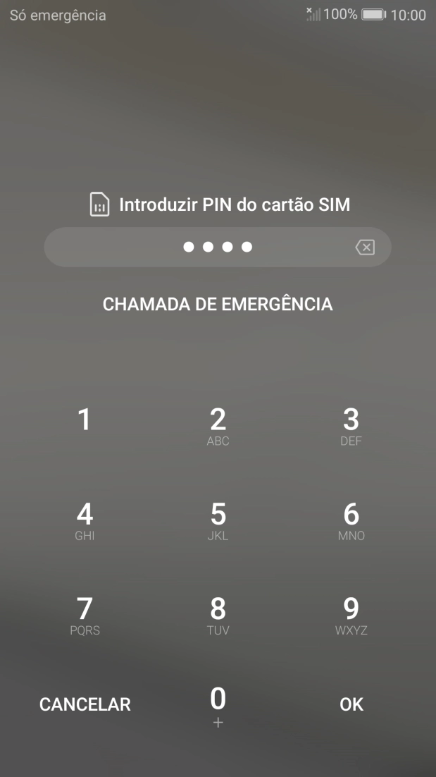 Se solicitado, deve introduzir o código PIN e premir OK.