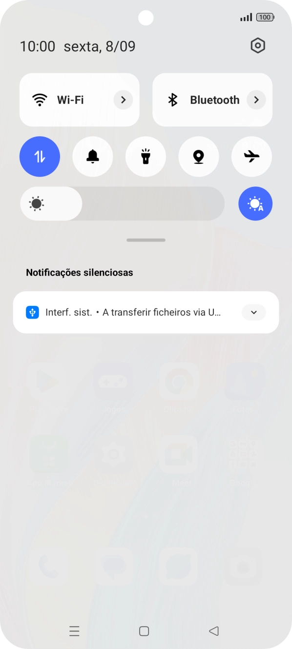 Prima Interf. sist..
