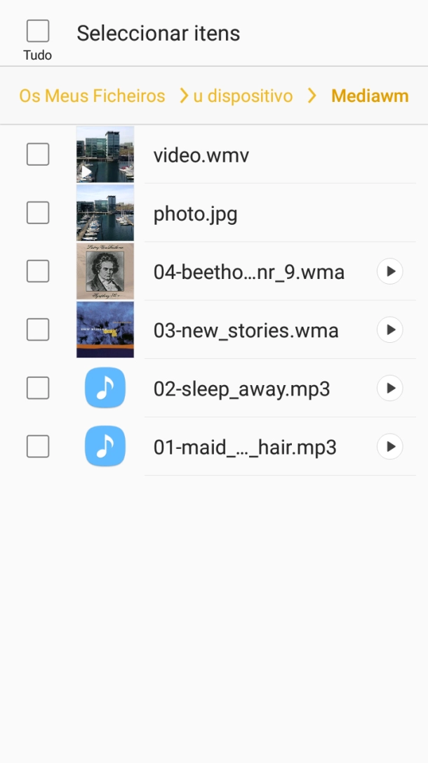 Prima o campo junto do ficheiro pretendido.