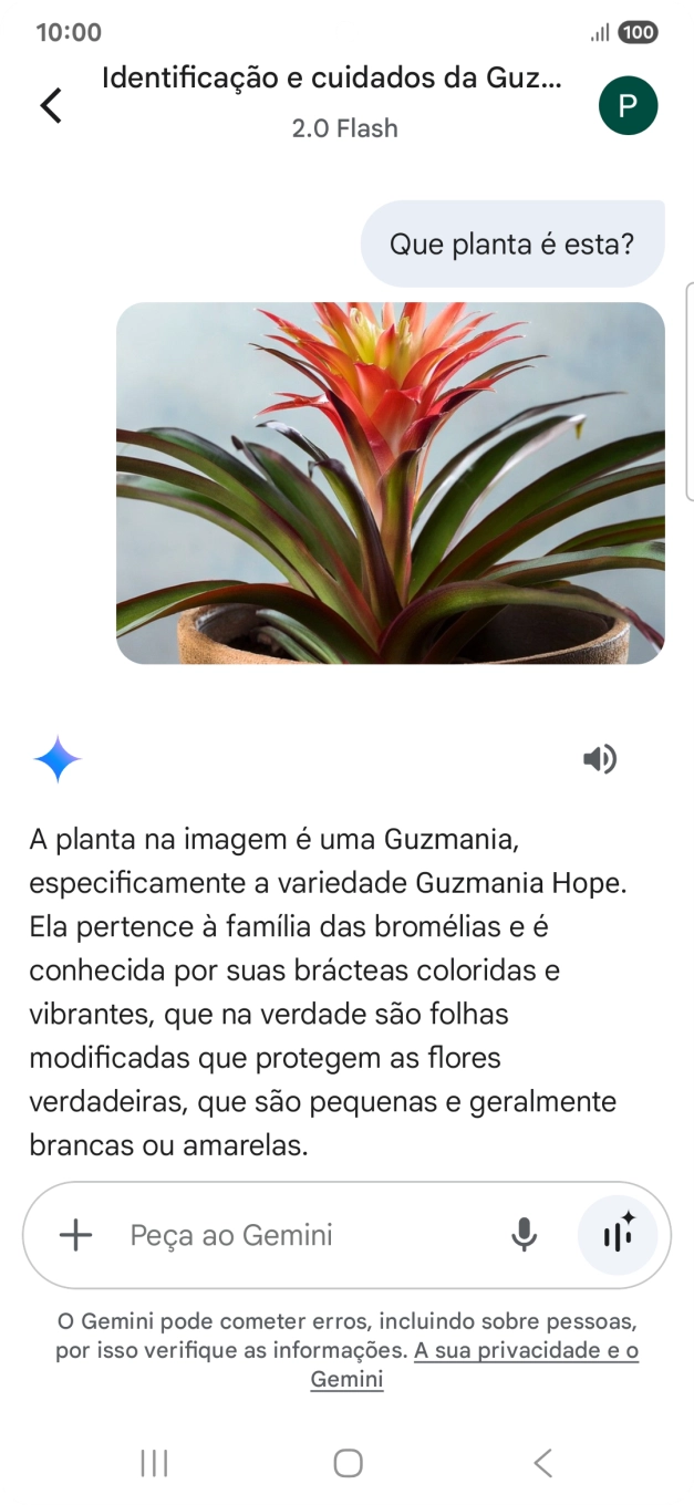 Siga as indicações no ecrã para escrever ou ditar a pergunta pretendida. Pode também anexar imagens ou documentos e fazer perguntas a respeito destes.