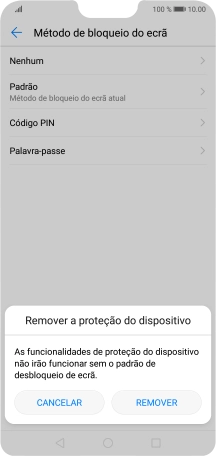 Prima REMOVER.