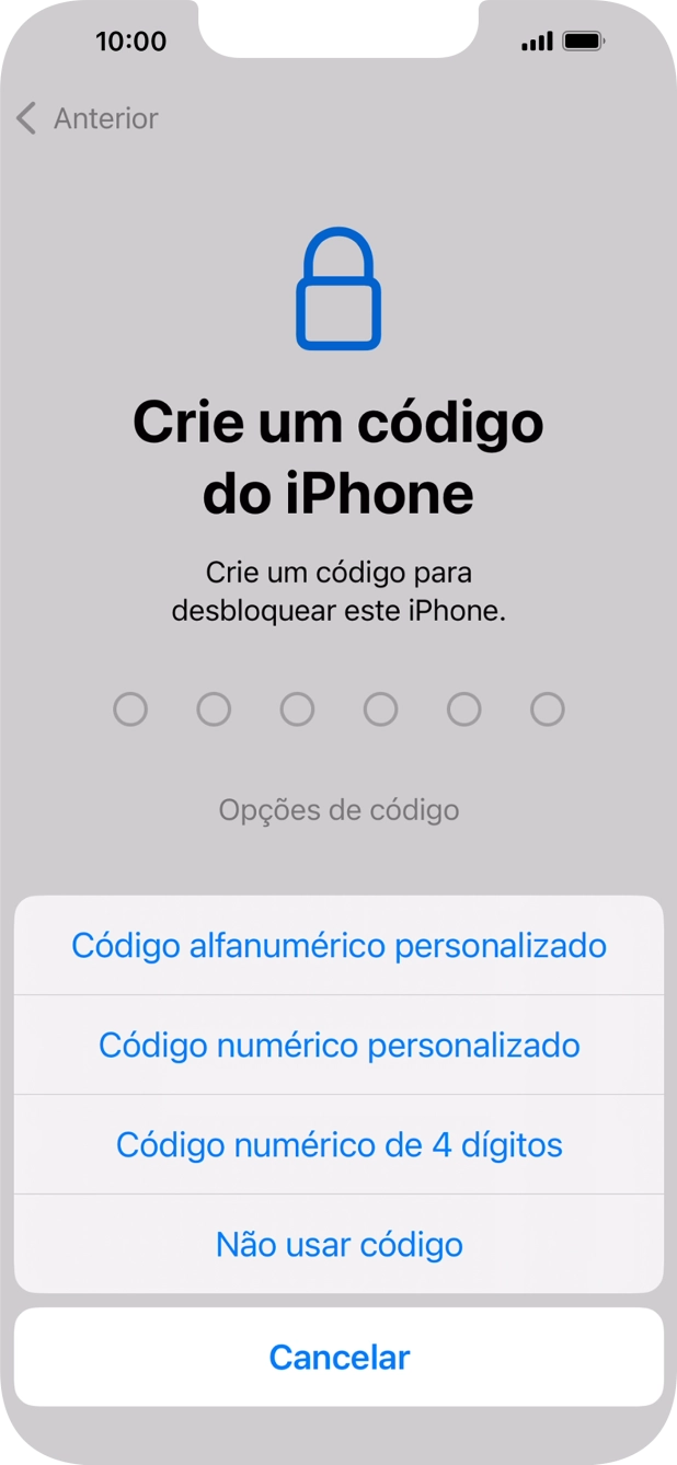Siga as indicações no ecrã para ativar a utilização do código de bloqueio do telefone ou prima Não usar código.