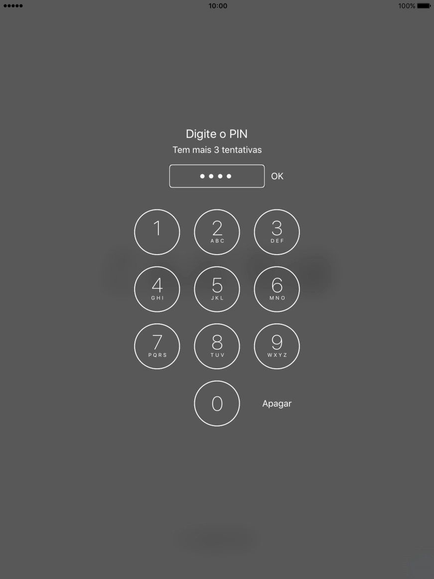 Introduza o seu código PIN e prima OK.